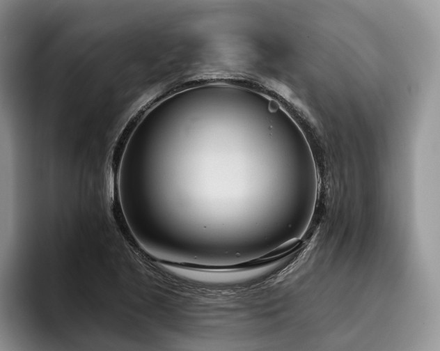 X0000096211221200801181424
