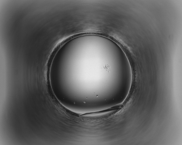 X0000096211222200801181424