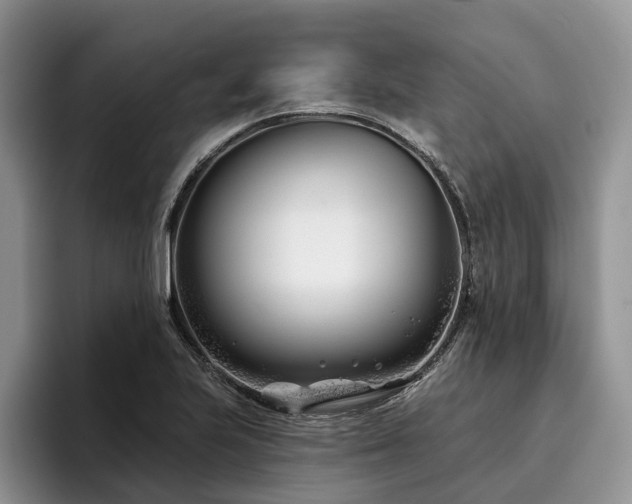 X0000096211223200801181424