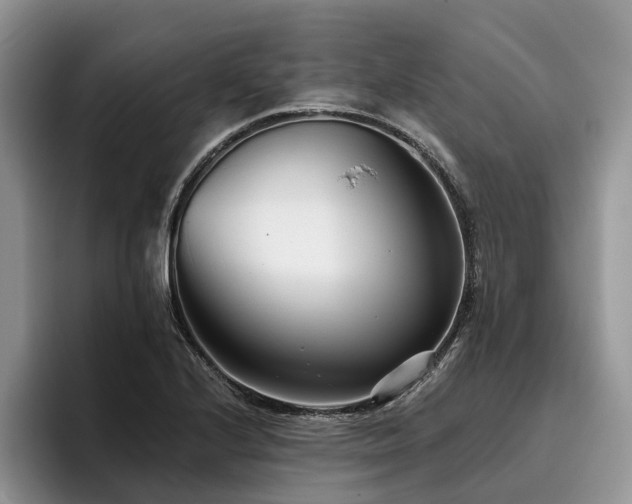 X0000096211224200801181424