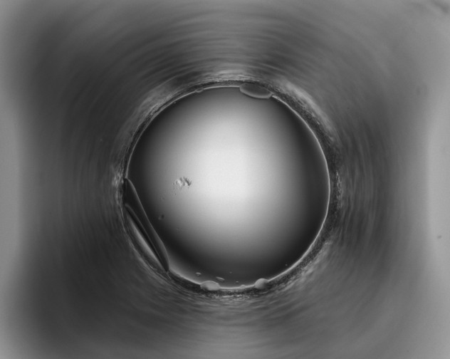 X0000096211225200801181424