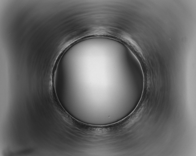 X0000096211226200801181424
