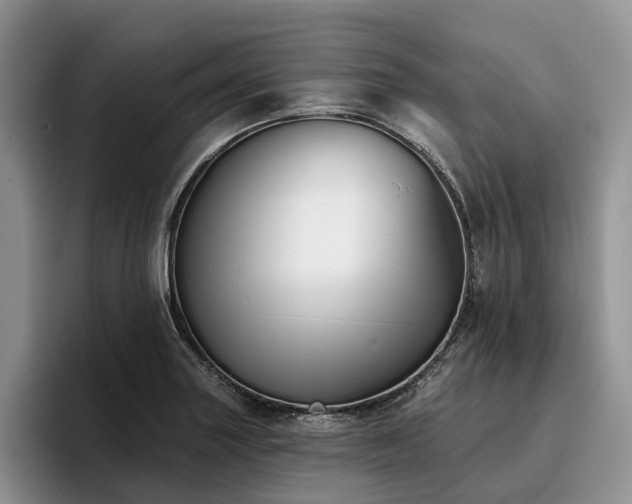 X0000096211227200801181424