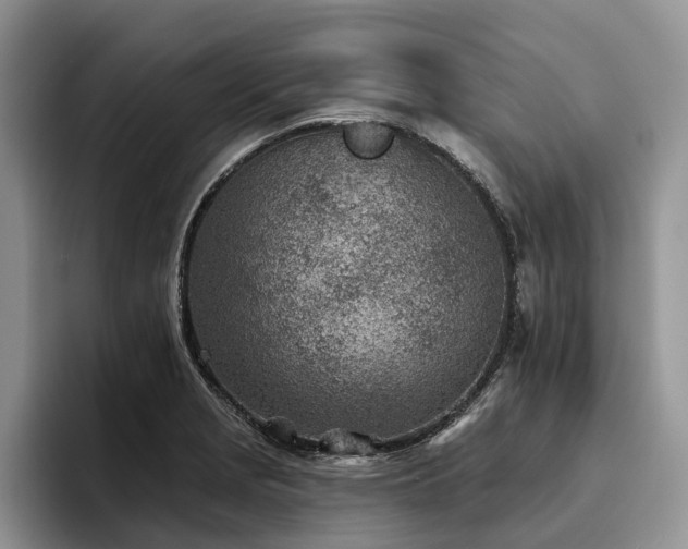 X0000096211229200801181424