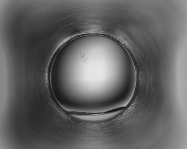 X0000096211230200801181424