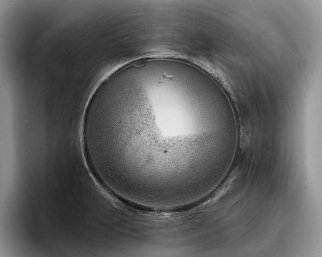 X0000096211231200801181424