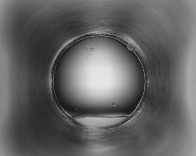 X0000096211232200801181424
