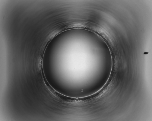 X0000096211233200801181424