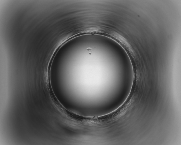 X0000096211234200801181424