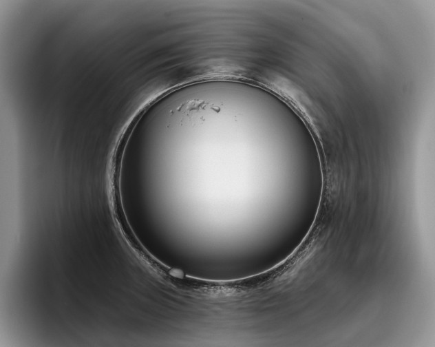 X0000096211235200801181424