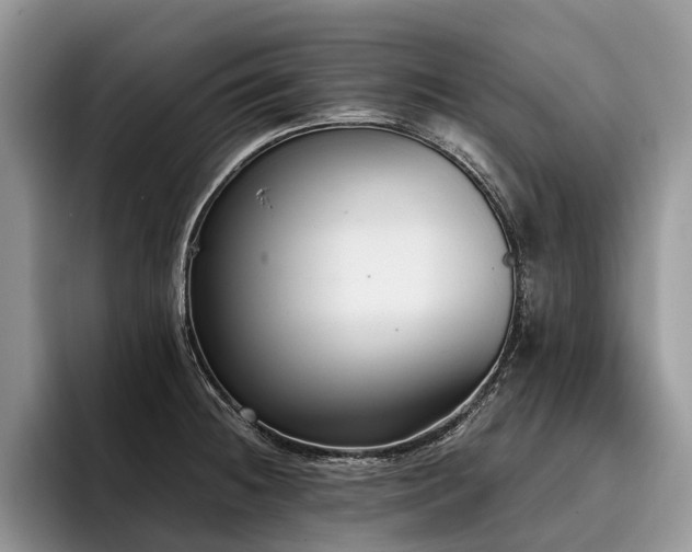 X0000096211236200801181424