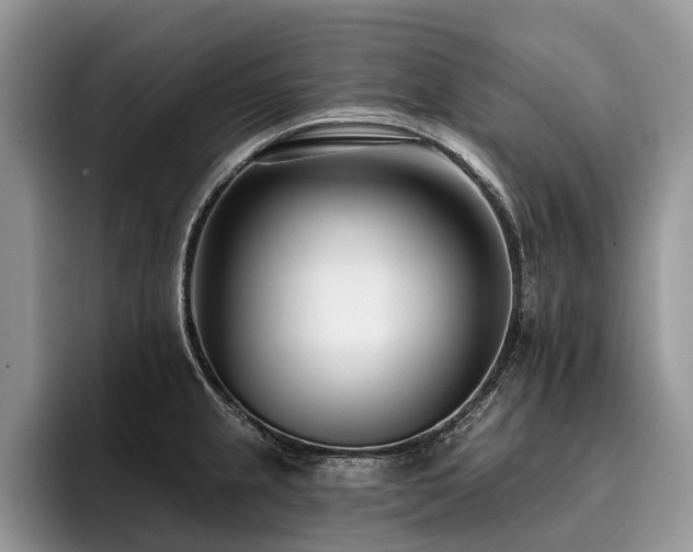 X0000096211237200801181424