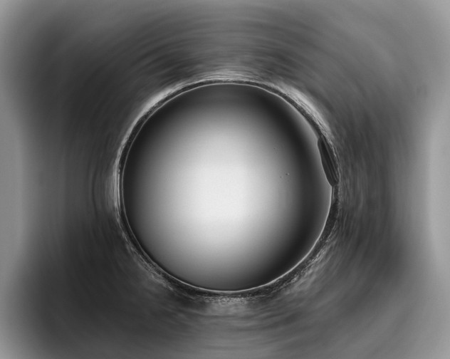 X0000096211238200801181424