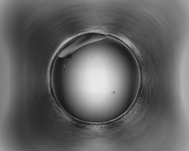 X0000096211240200801181424