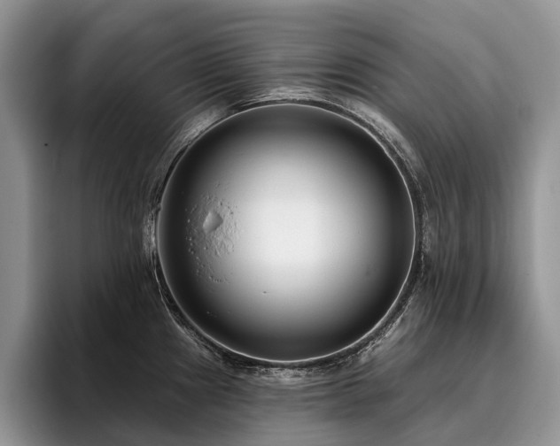 X0000096211241200801181424