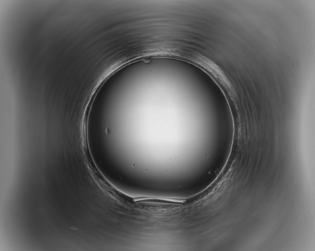 X0000096211242200801181424