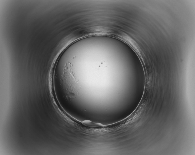 X0000096211243200801181424