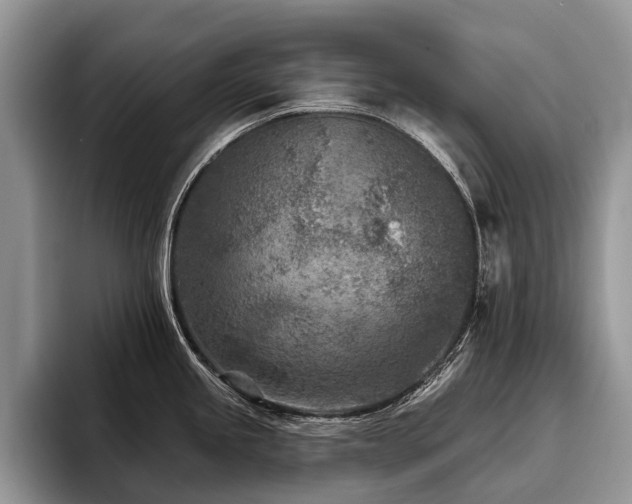 X0000096211245200801181424