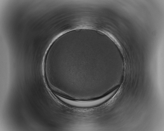 X0000096211246200801181424