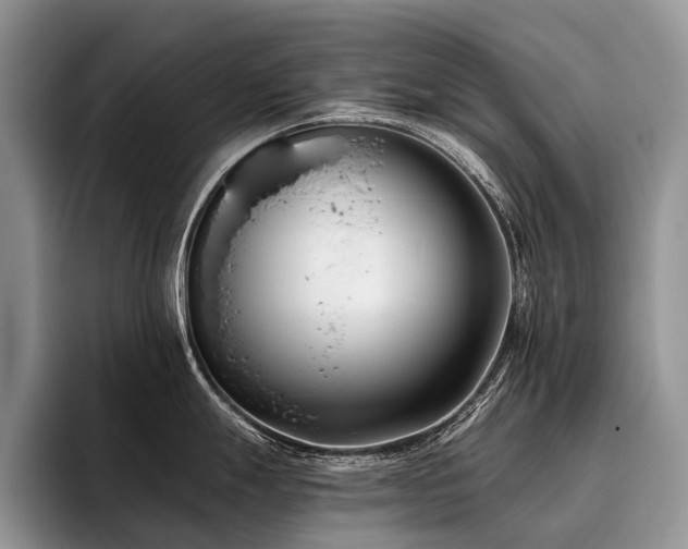 X0000096211247200801181424