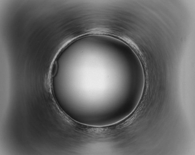 X0000096211248200801181424