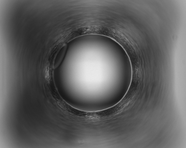X0000096211250200801181423