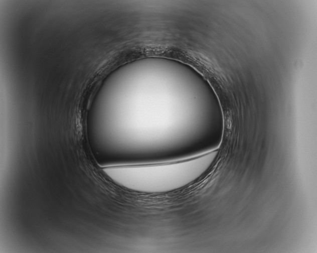 X0000096211252200801181423