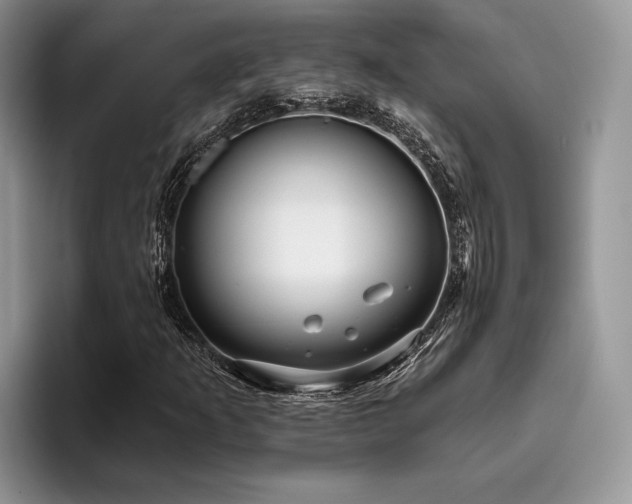 X0000096211253200801181423