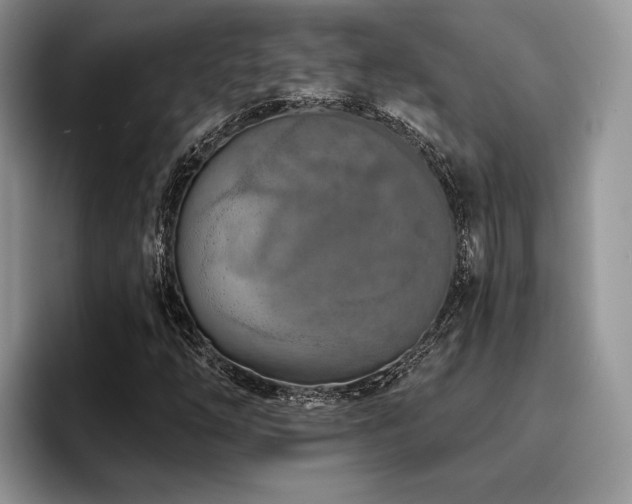 X0000096211254200801181423