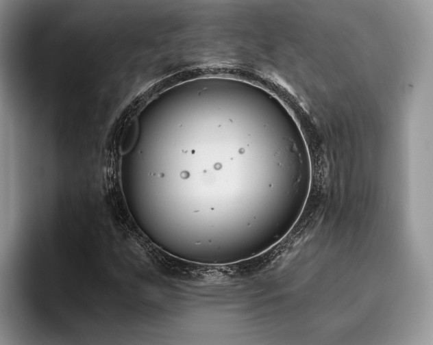 X0000096211255200801181423