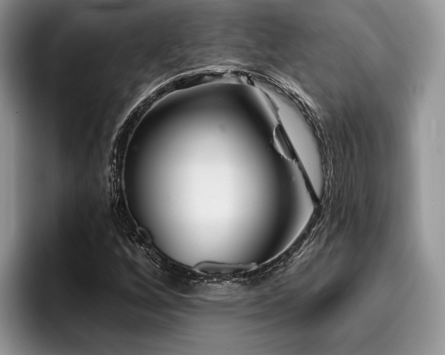 X0000096211256200801181423