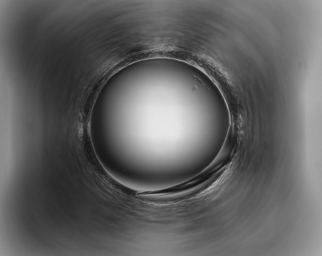 X0000096211257200801181423