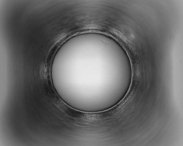 X0000096211258200801181423