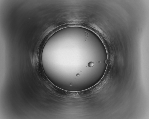 X0000096211259200801181423