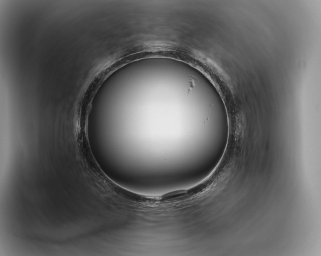 X0000096211261200801181423