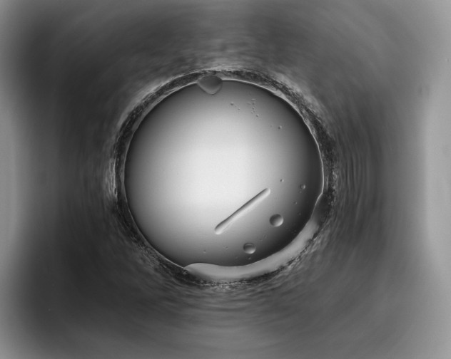 X0000096211262200801181423