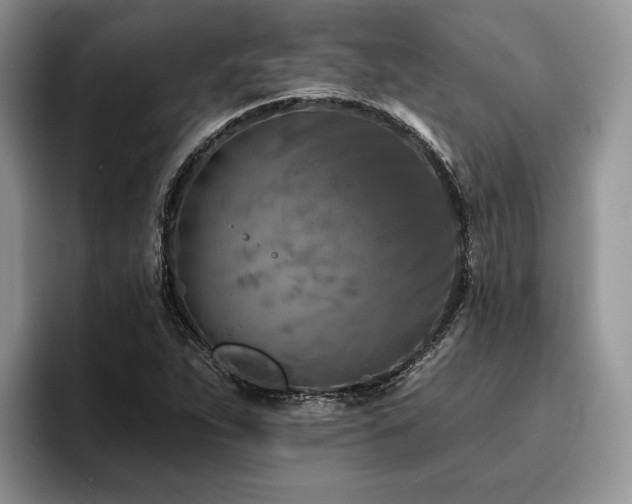 X0000096211263200801181423