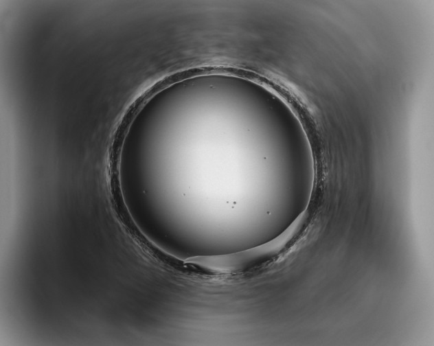 X0000096211264200801181423