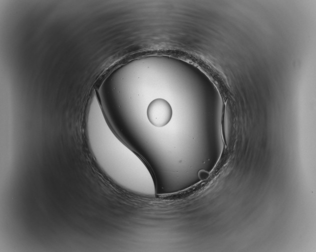 X0000096211265200801181423
