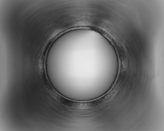 X0000096211266200801181423