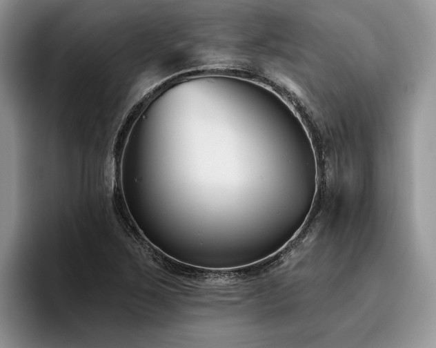 X0000096211267200801181423
