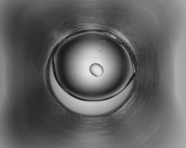 X0000096211269200801181423