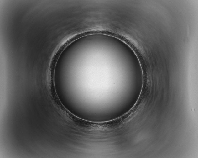 X0000096211270200801181423