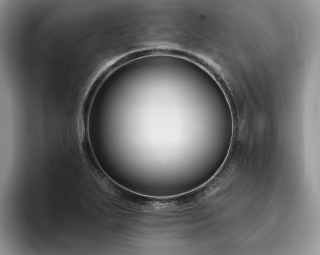 X0000096211271200801181423