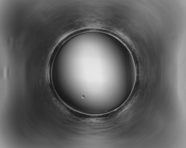 X0000096211272200801181423