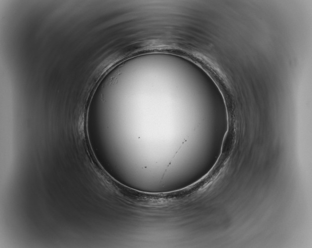 X0000096211273200801181423