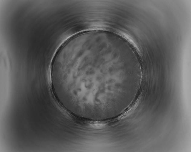 X0000096211275200801181423
