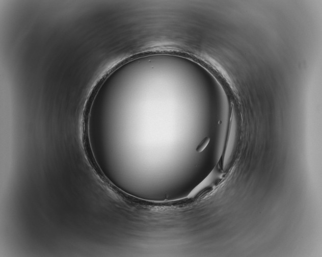 X0000096211277200801181423