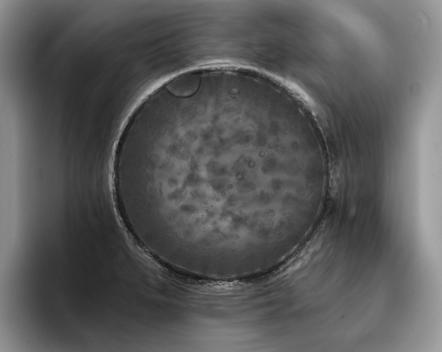 X0000096211279200801181423