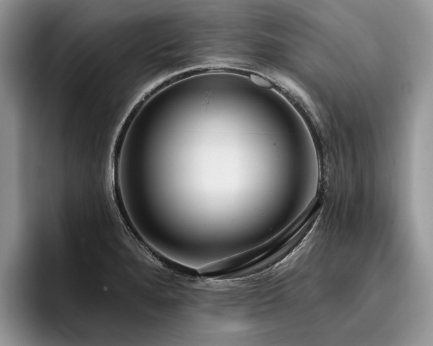 X0000096211280200801181423